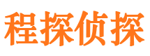 南陵侦探公司